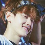[EXO] 이거 조카 귀엽지않냐