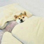 [약19ㅋㅋ] 남자친구랑 <b>진도</b>가 너무 빨라