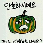 [댓글부탁해] 뭐지? 천<b>선유</b> 요시코 톡선까지 갔었던 글쓰닌데