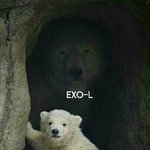 [EXO] 이 <b>사진</b> 오랜만에 봤는데 <b>개</b>쳐웃기네ㅅㅂ