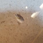 [댓글부탁해] <b>새집</b> 개판만들고 철판까는 이삿짐센터