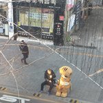 이거 개귀엽다진짴ㅋㅋㅋㅋㅋㅋ