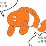 [드루와] 청소년 <b>쉼터</b> 관한 질문 받는다