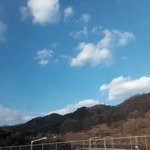 [이삐] 이구름고릴라같지않아?