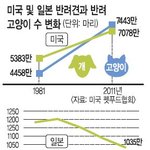 반려견 VS 반려묘 (사진 有)