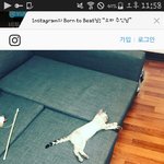 [육성재조<b>이</b>] 삼<b>스타</b>그램
