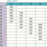 아니 가슴 <b>사이즈</b> 잴라했는데