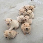 [댓글부탁해] 너희 <b>화장</b> 얼마나 함?