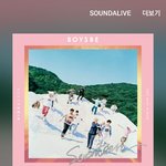 [세븐틴] 플디 빅픽쳐