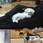 [EXO] 우리집개42) 털있던때 <b>재업</b>
