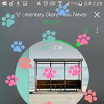 [방탄소년단] 아는 이삐들 많을 수도 있는데 혹시 모르니까