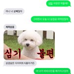 [EXO] 세혼 강아지 머글<b>킹</b>임ㄱㅋㅋㅋㅋ