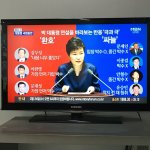 [콜로라도] 아무리 <b>세탁</b>하려해도...