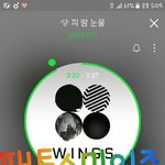 [이삐] 탄삐들아 나 윙콘 양도