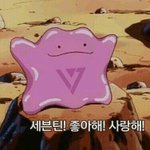[세븐틴] 나솔직히 팬미팅가기전에