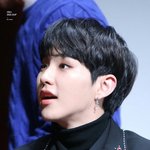 [세븐틴] ㅅㄷ<b>캐럿</b>떨..나호시 십자가귀걸이살까?