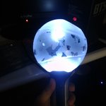 [이삐] 미밤이와<b>땅</b> ㅎㅎ