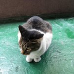 [조언부탁해] 여자친구 손목에 <b>자해</b> 자국이 있어