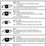 [드루와] <b>삼백</b>안 있는 애들(눈 관상