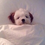 [드루와] <b>내</b>가수 <b>인생</b>노래 공유하고 가!