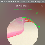 [EXO] 2위 도랏맨,,,?