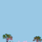 [드루와] 아이폰 꿀<b>TIP</b>