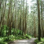 이 사진들 보면 너무 소름돋고 무서움(공포<b>xx</b>)