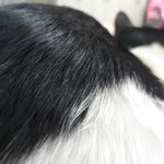 엉덩이사진 <b>세장</b> 뿌리고간당!