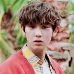 [EXO] 나요즘 미씽나인본다