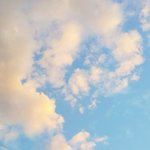친구 <b>비밀연애</b> 알면 배신감 들어?