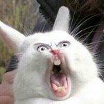 [인피니트] 얘들아 다들 들어<b>와바</b>