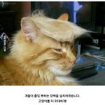 베트남<b>다낭</b>가는데