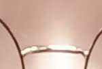 [조언부탁해] 내눈 쌍수할까??