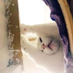 다들 노래방 애창곡 적고강