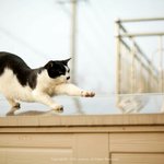 [세븐틴] No <b>not</b> today