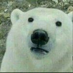 [드루와] 와 수지 백현 <b>Dream</b>이 벌써