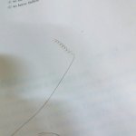 내 머리카락 줠라 <b>자유분방</b>함
