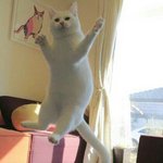 렌즈<b>미</b> 렌즈중에