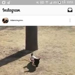 [EXO] 나 이거 <b>조회</b> 1인거?