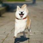 [댓글부탁해] 일본 <b>아노</b> 사진 있는사람?