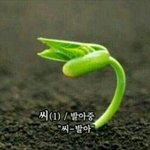 [조언부탁해] 남자애들하고 어케 친해짐ㅠㅠ