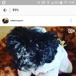 [EXO] 어나더러블이뭐임?