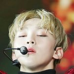[세븐틴] ㅅㄷ 미친 캐럿들 이거 봐