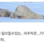 [댓글부탁해] 후드<b>집</b><b>업</b> 입으면 얼어 죽나...?