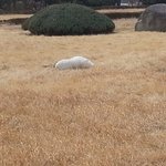 [드루와] <b>중딩때</b> 여사친한테 설렜던썰 풀어줌