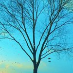[방탄소년단] 아니진짜 <b>톡</b><b>선</b>에 방탄글