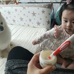 [강아지] <b>드림이</b>와 손녀 판2일째