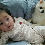 [강아지] 손녀와<b>드림이</b>