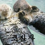 [드루와] 각자 비밀 하나씩은 있지 않아?