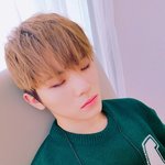 [세븐틴] 세븐틴 붐붐 앨범